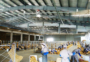 星辉为四川攀枝花烟草公司提供烟叶工厂仓库喷雾加湿系统方案