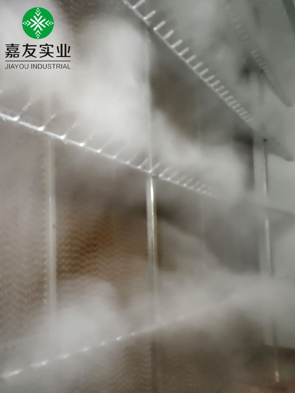 光伏车间空调机组高压微雾加湿器 (6)