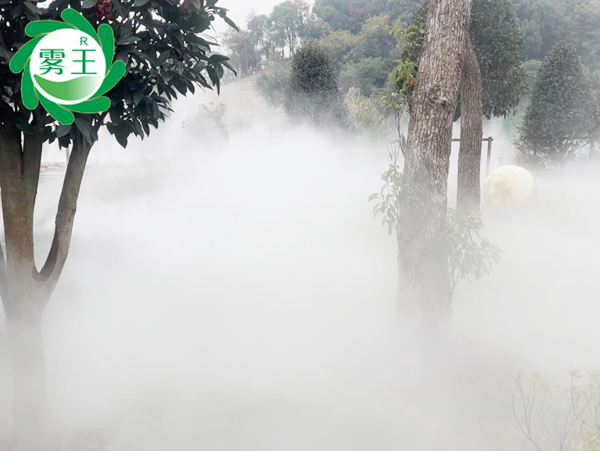 咖啡店湖面雾森系统 (3)
